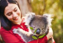 洛福迪山景点图片