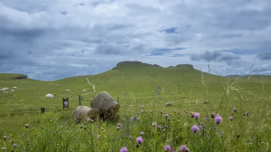 馬鬃山