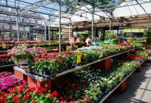 Garden Center at The Home Depot购物图片