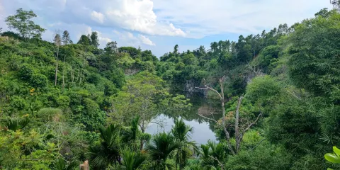 羊角嶺水晶礦地質遺迹