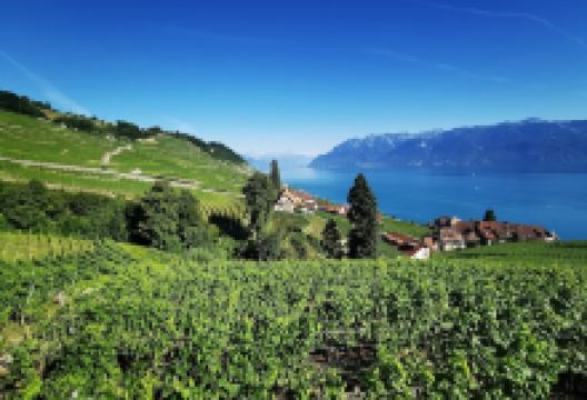 Point de vue景点图片