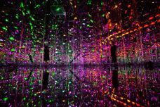 EPSON teamLab 无界美术馆-上海-C-IMAGE