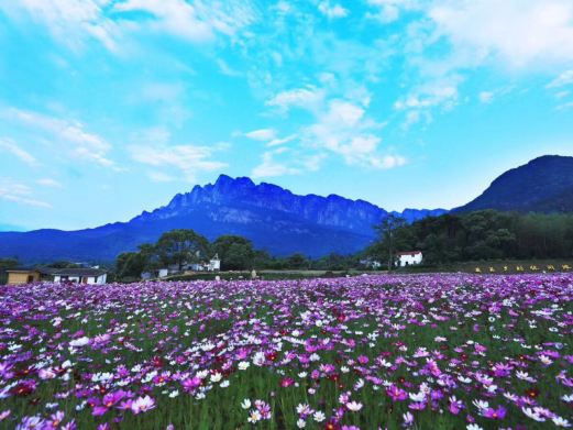 庐山·鄱湖湾景区