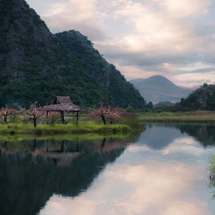 昆明+普者黑风景区+抚仙湖5日4晚私家团