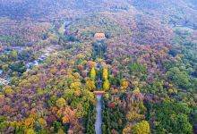 明孝陵景点图片