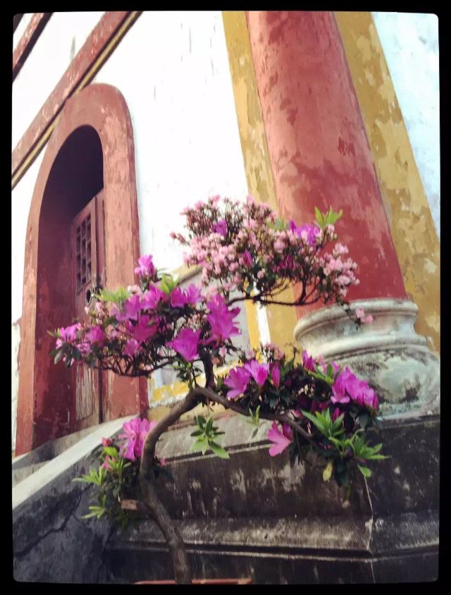 南华禅寺旅行图片 4