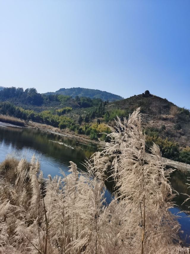 嵩口古镇旅行图片 5