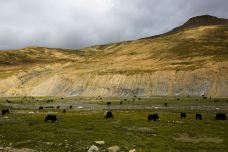 珠穆朗玛峰国家级自然保护区-定日-enjoyzent