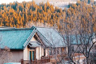 去尼山圣境，感受知书明礼的生活方式