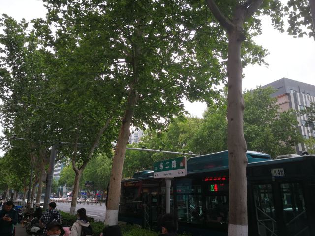 大观园旅行图片 4