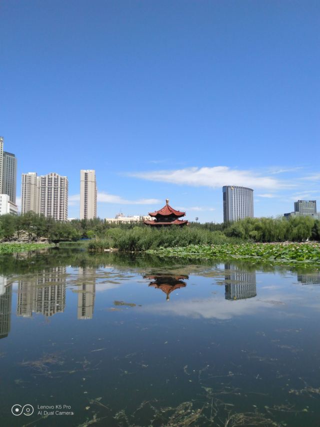 青城公园旅行图片 1