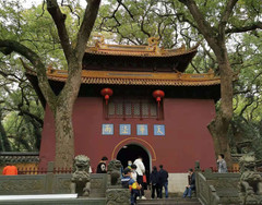 普陀山/普济寺/南海观音游记图片] 浙江舟山普陀山法雨寺景区游记