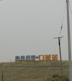 黄河口镇游记图文-2021年国庆假期东营黄河口知青小镇一游