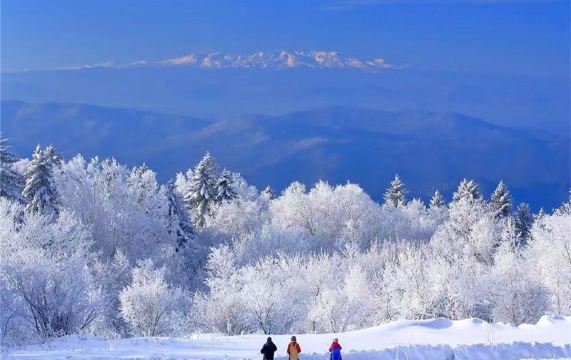长白山仙峰雪岭景区