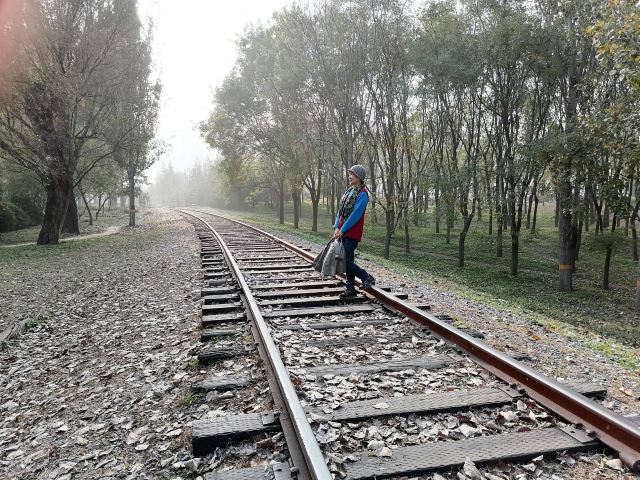 将府公园旅行图片 6