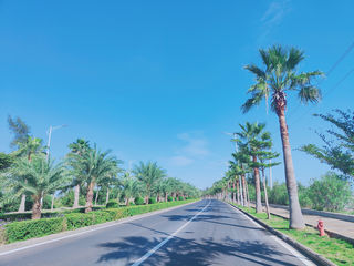 寒潮来袭,来候鸟天地看看吗