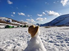 大海草山-会泽-我叫什么zxc