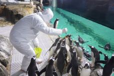 海滨城浩海立方海洋公园-成都-C-IMAGE