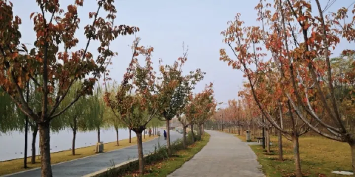 象湖生態濕地公園