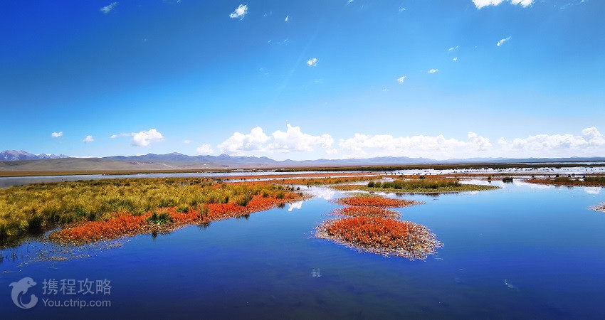 若爾蓋花湖生態旅遊區