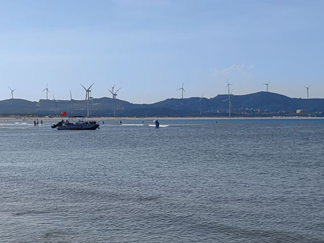 蓝眼泪观景点(长江澳海滩)旅行图片 7