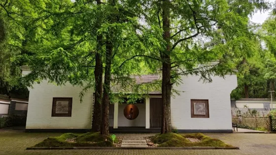 龍山綠谷天然大氧吧