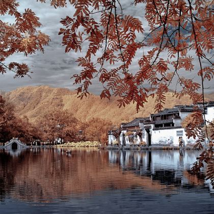 乌镇+西栅夜游+杭州西湖风景名胜区+黄山风景区+宏村景区5日4晚跟团游