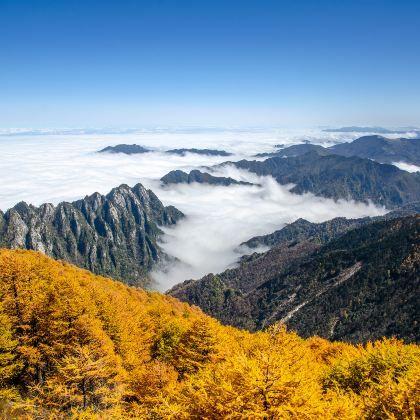 太白2日1晚拼小团