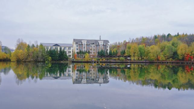 中華秋沙鴨公園