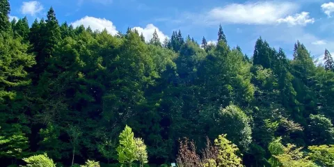 北上川源泉いわてまち川の駅
