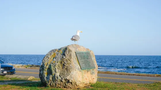 King Park