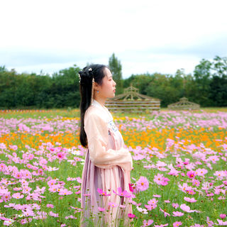 我到四川，寻找和你的约定。一路川西一路群山，山雪掩绿，可惜没有你