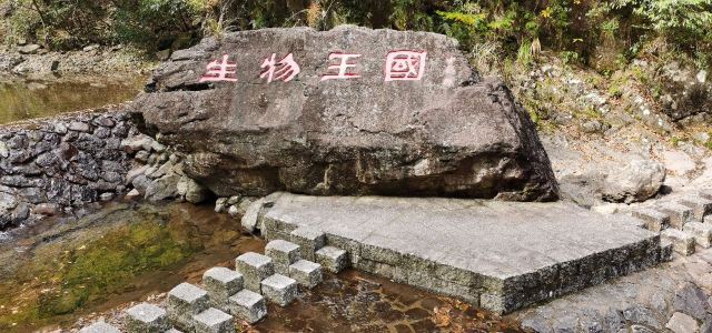 浙江乌岩岭国家级自然保护区旅行图片 1
