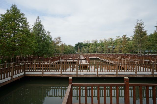 五缘湾湿地公园旅行图片 1