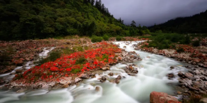 海螺溝冰川森林公園-紅石灘