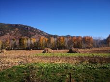 草海-盐源-derric