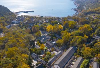 崂山仰口游览区+崂山太清游览区一日游【独立用车/时间自由】【[特别体验 优选路线]一天游遍仰口+太清2大精华景区，不换乘，车辆直接进山省心玩！】