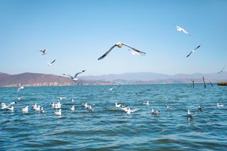 大理旅游高奢酒店神仙顶配，美丽相约梦蝶庄