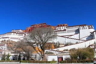 当阳光明媚时—拉萨奇遇记