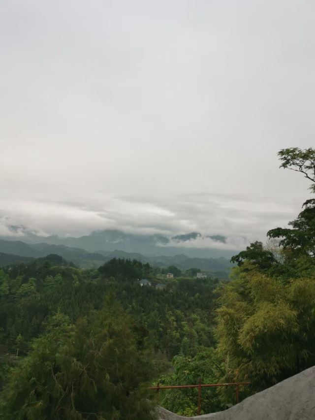 太平山旅行图片 3