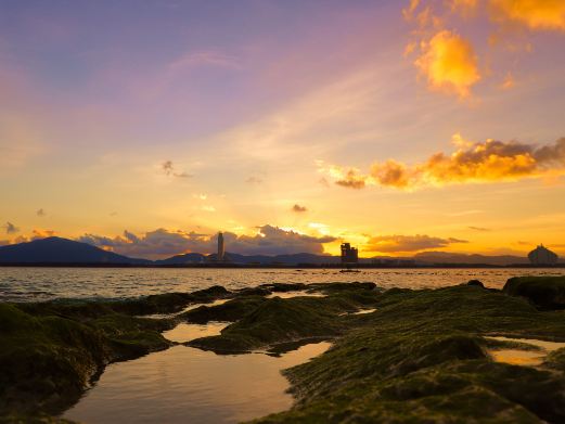 珊瑚湾海滩
