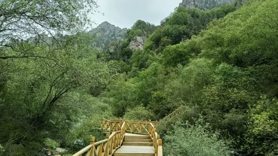 大通國家森林公園察汗河景區