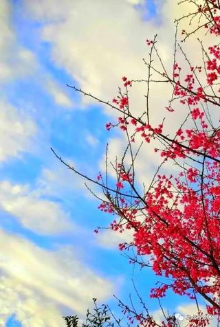 灵龙谷风景专刊 || 把风景酝酿成画~