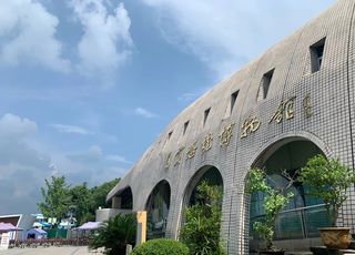 悠哉悠哉的自贡一日游