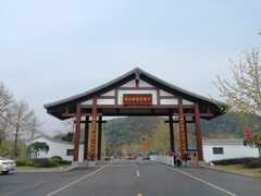 长兴游记图片] 浙江湖州长兴十里古银杏长廊游记