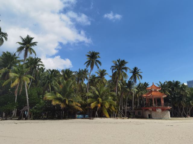 东郊椰林风景名胜区旅行图片 1