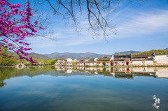 黟县游记图片] 自驾皖南“金项链”，游黟县最美古村落，休闲踏青三日游