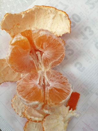 甜心果冻橙个头大、颜色红,皮很薄、水分足,甜过初恋啊