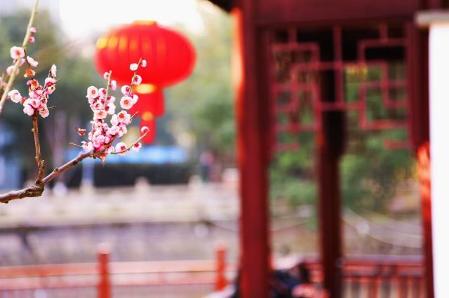 莘庄公园旅行图片 1