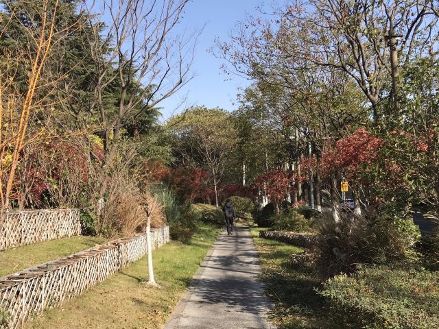 莘庄公园旅行图片 3